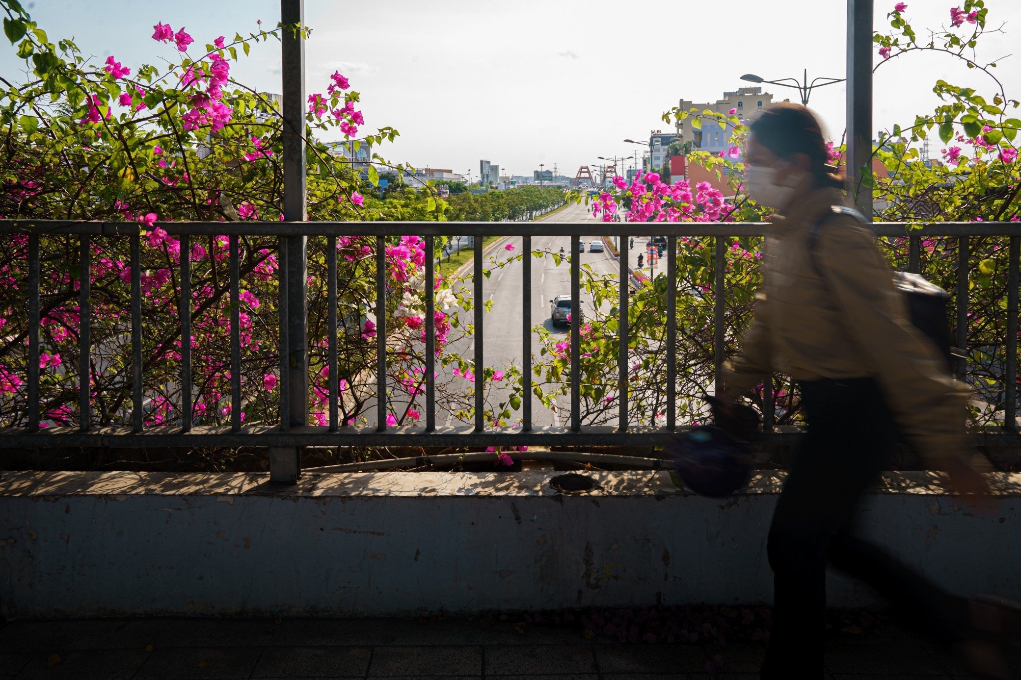 cau vuot bo hanh anh 5