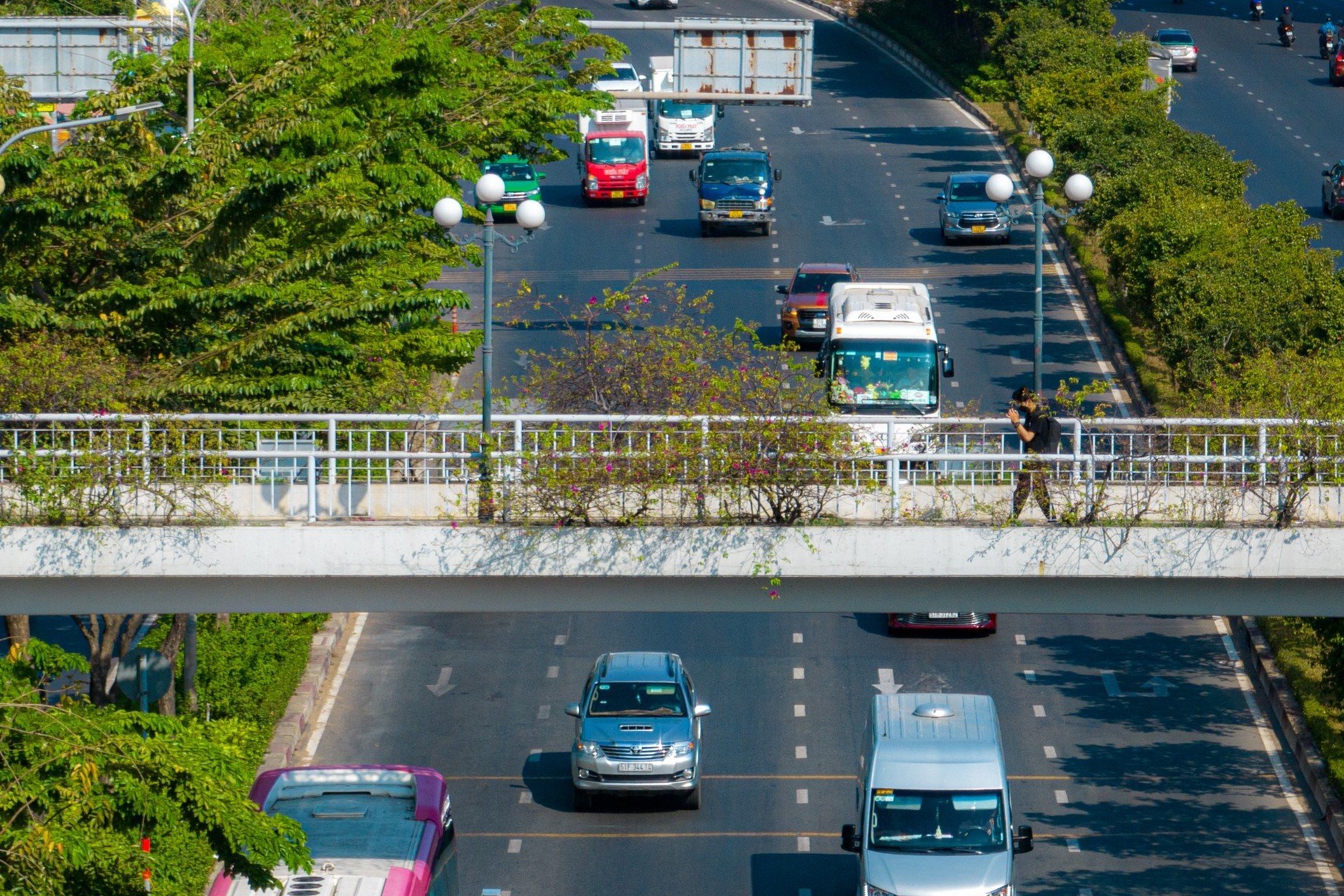 cau vuot bo hanh anh 2