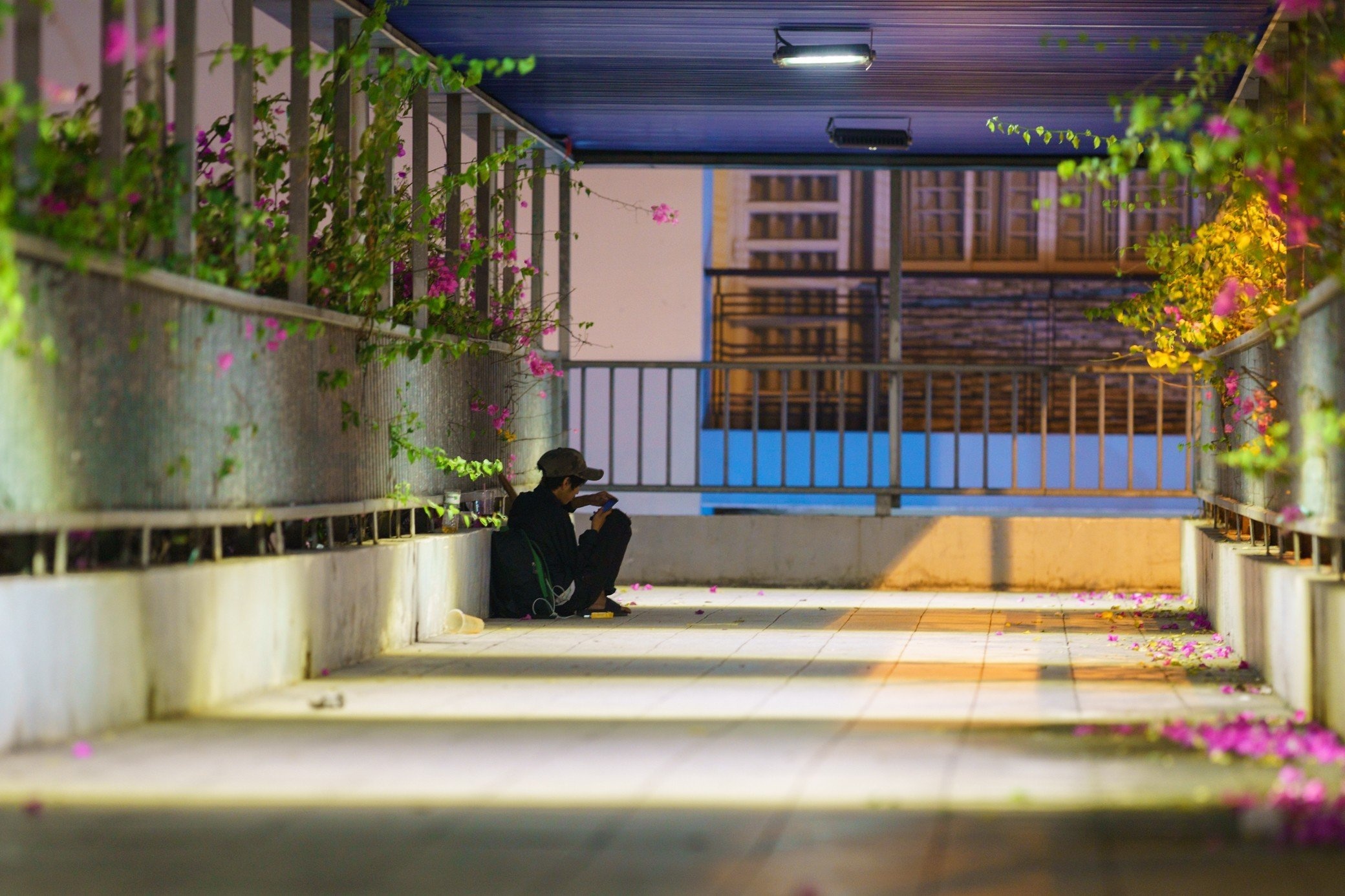 cau vuot bo hanh anh 11