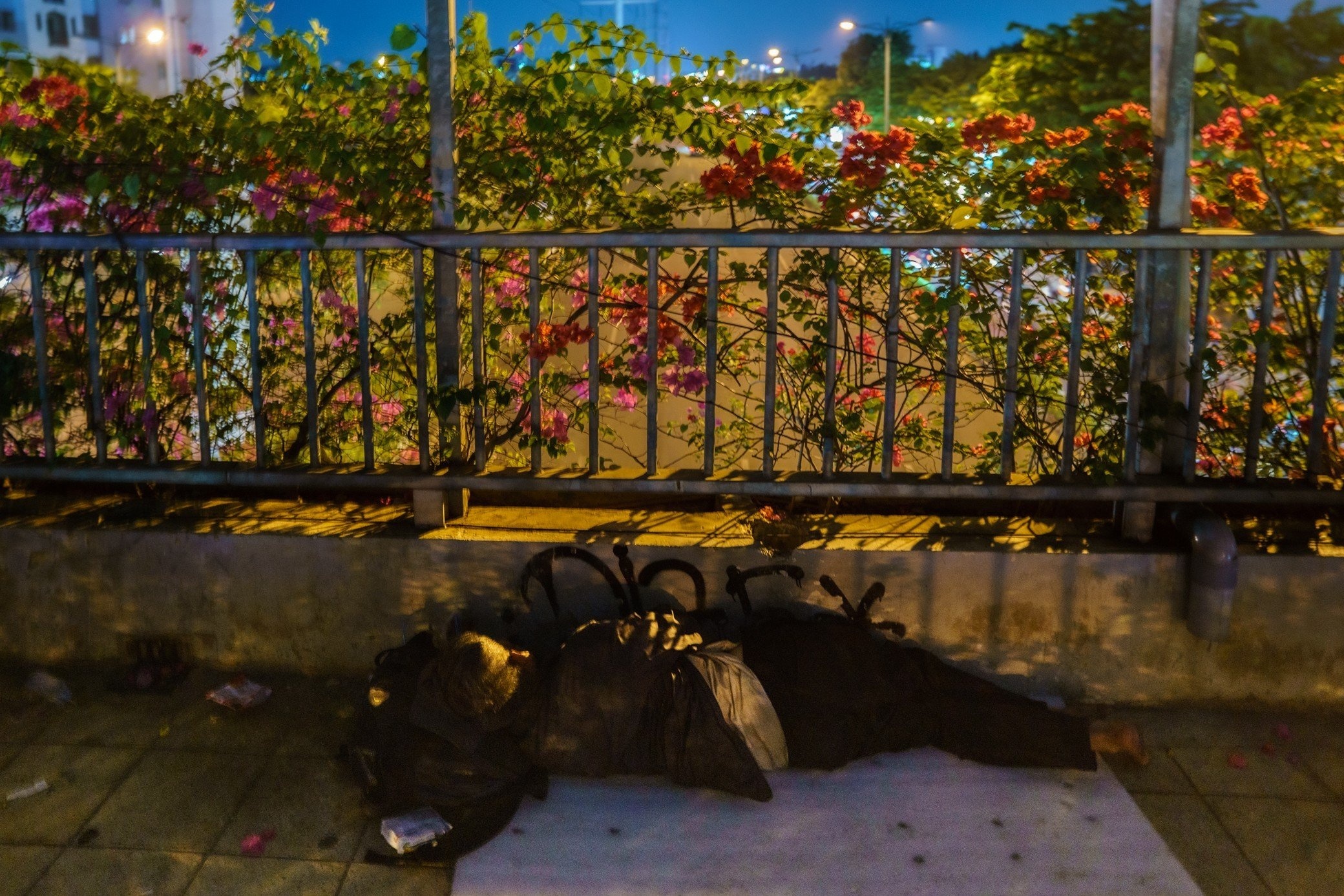 Cau bo hanh tai TP.HCM thanh noi o cua nguoi vo gia cu hinh anh