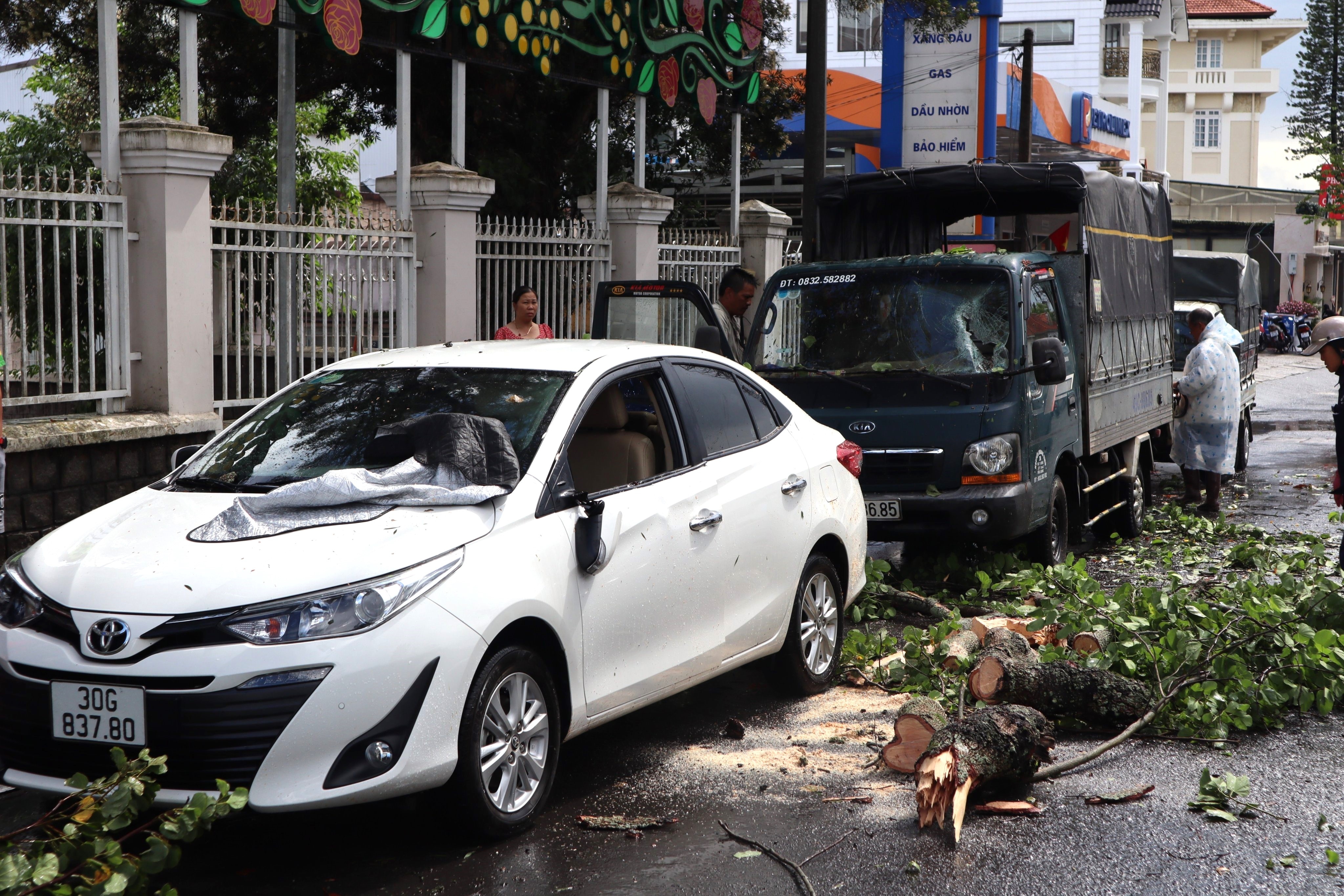 mua lon tai Da Lat anh 1
