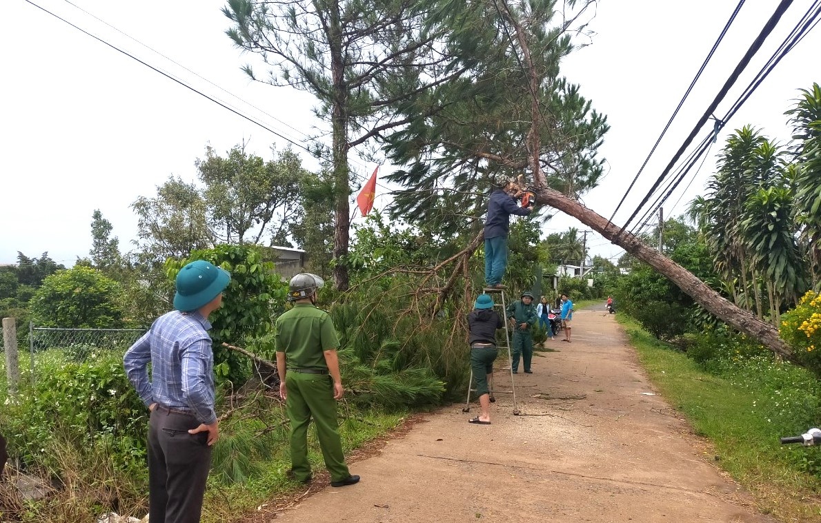 Mua lon gay ngap nang o Da Lat, nhieu nha dan o Bao Loc bi toc mai hinh anh