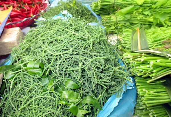 Hoa của rau ngót rừng còn đắt và hiếm hơn.