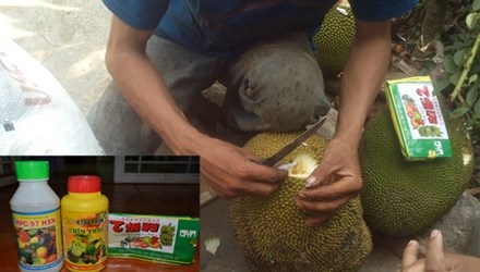 Do hoa chat ep mit chin sieu toc hinh anh