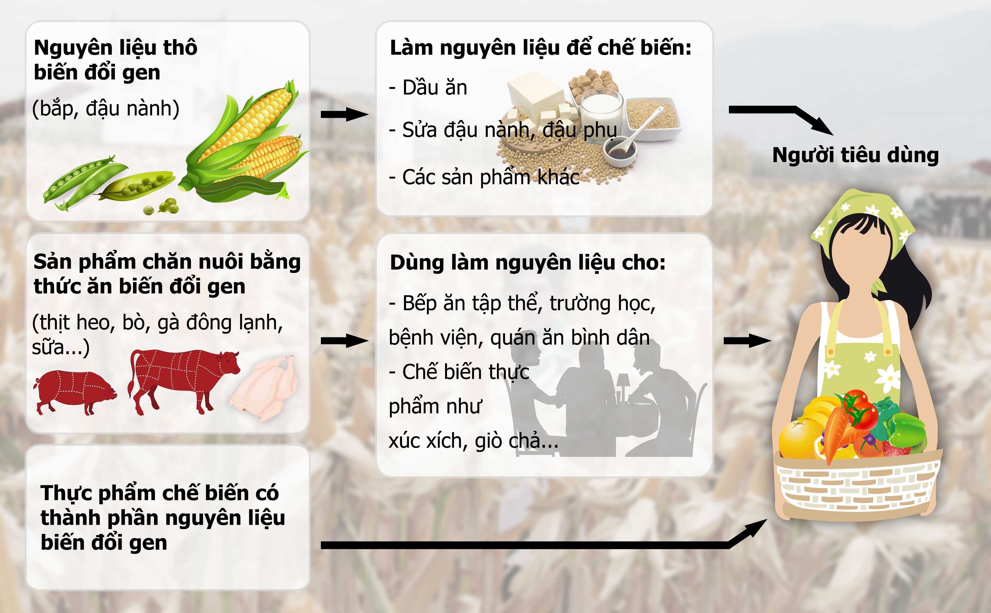 Map mo nguon goc thuc pham bien doi gen hinh anh