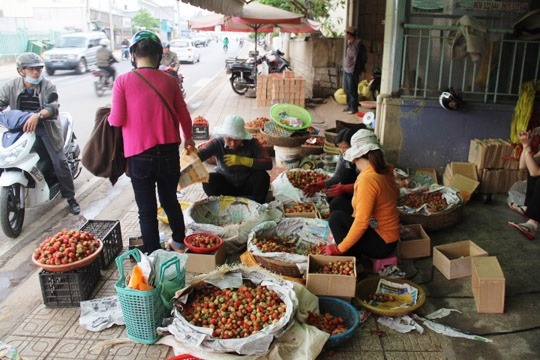 Dâu tây tại Đà Lạt đang khan hiếm.