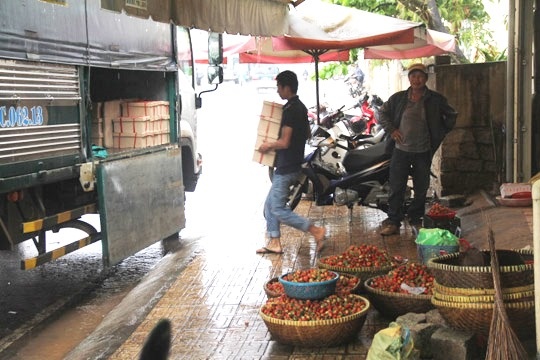 Lượng dâu đi TP HCM cũng ít dần.