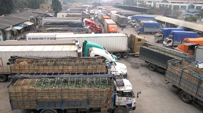 Un tac tren 500 xe trai cay tai cua khau Tan Thanh hinh anh