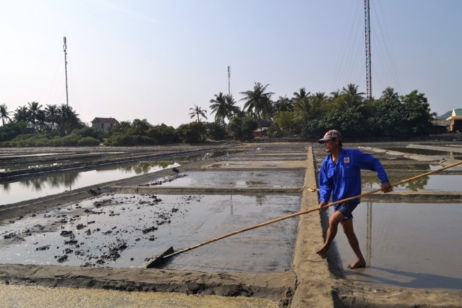 Gia rot 1.000 dong/kg, muoi Sa Huynh van vang nguoi mua hinh anh