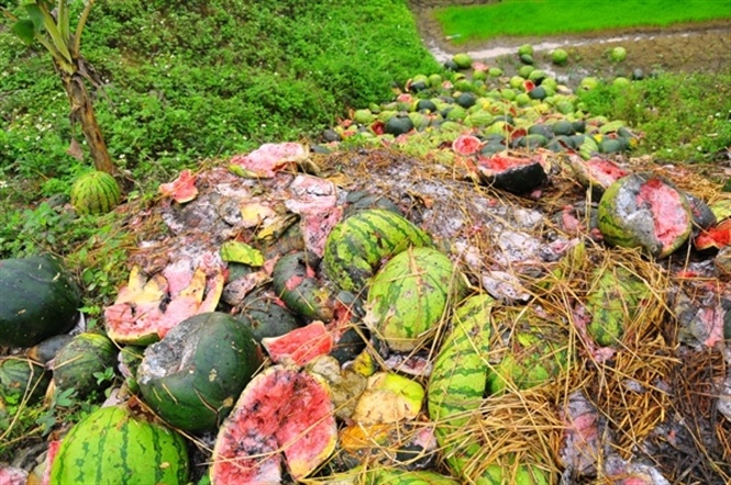 Hang tan dua hau thoi nam la liet gan cua khau Tan Thanh hinh anh