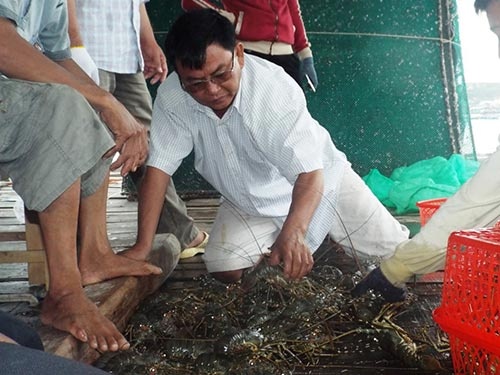 Nuoi tom hum nhu danh bac hinh anh