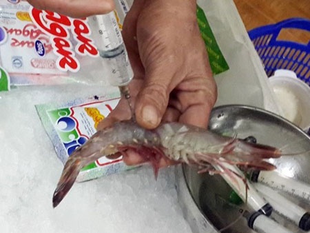 Boc go chieu tro bom tap chat vao tom su hinh anh