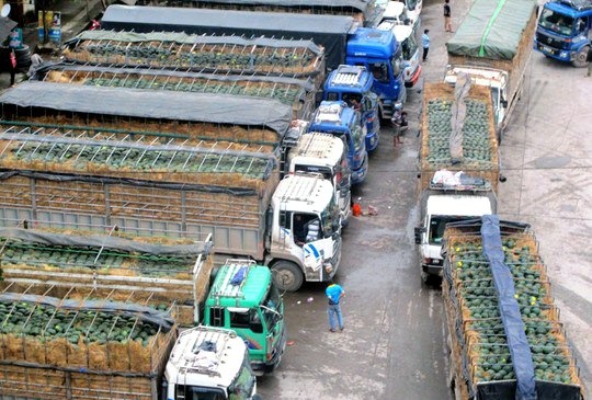 Khi Cuc Pho ban dua hau tren Facebook hinh anh