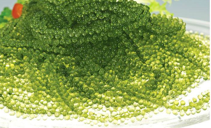 Trung ca hoi xanh gia re tran cho online hinh anh