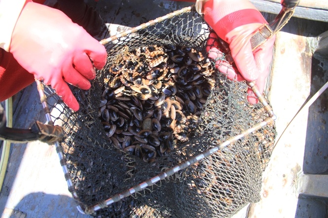 San 'loc troi' tren song Han hinh anh