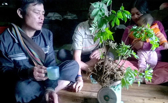 Giac mo ty do tren dinh nui hinh anh