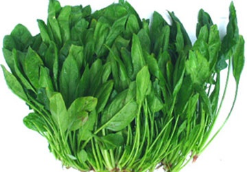 An gi khi thieu sat? hinh anh