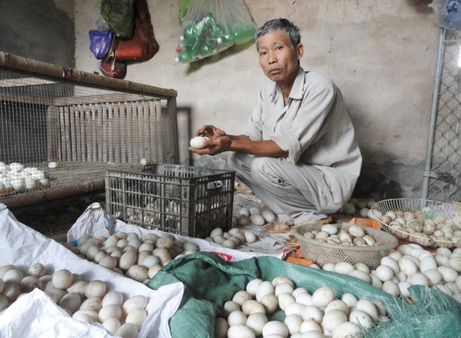 Hai Phong: Long do trung vit 'doi mau' bat thuong hinh anh