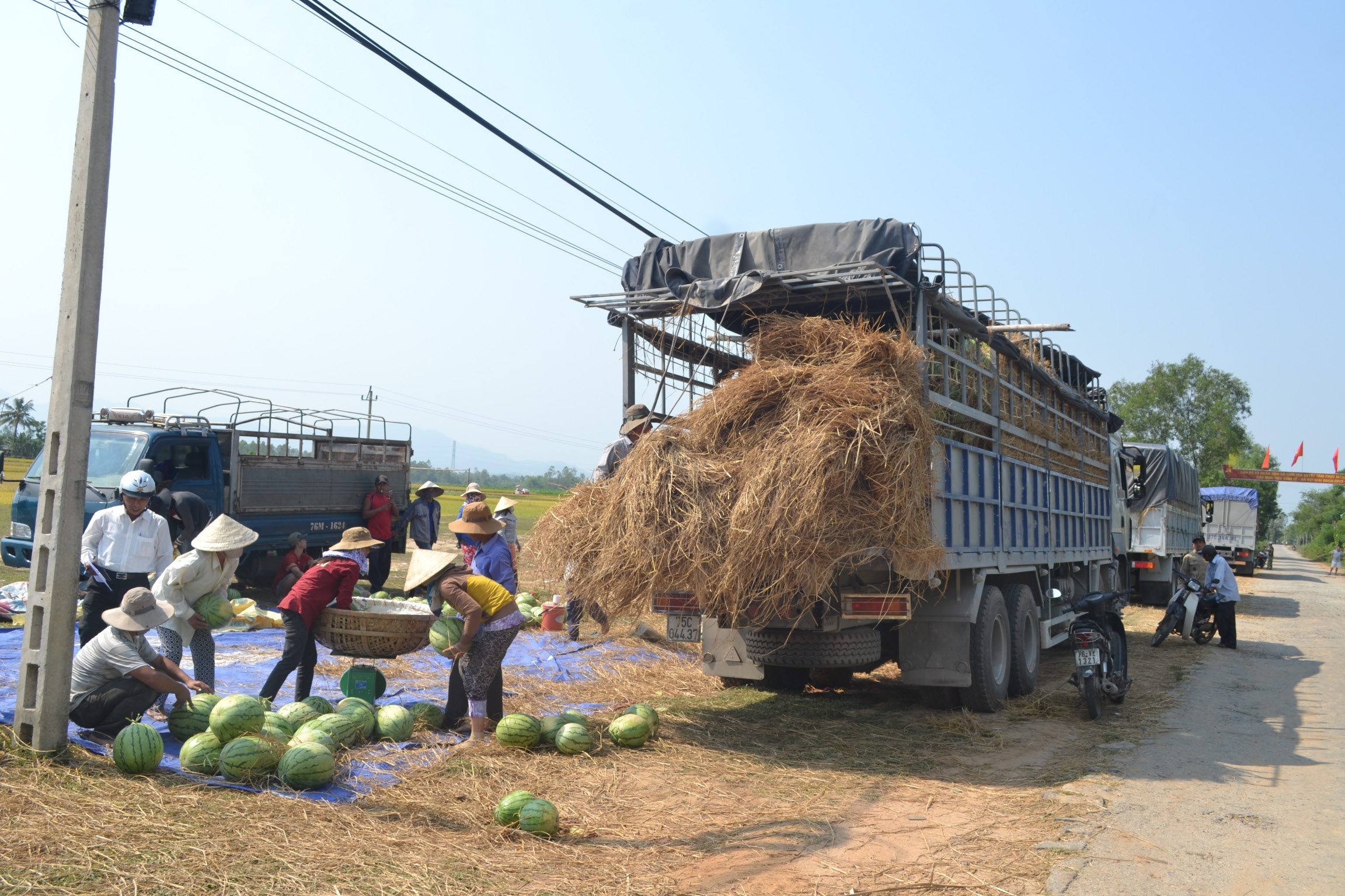 Quang Ngai: Bi hai chuyen trong dua, cho 'hiep si' hinh anh