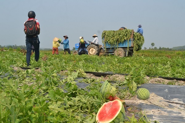 Sau chien dich giai cuu dua hau: Thuong lai co con ep dan? hinh anh