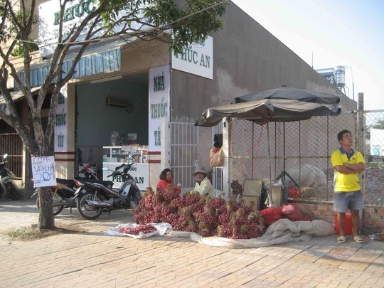 Thương lai thu mua với giá rẻ mạt 3.500 đồng/kg.