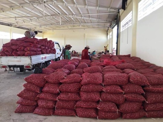 Hành tím còn tồn kho khoảng 50.000 tấn.