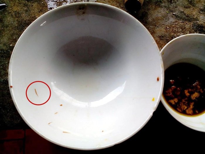 Giun bo luc nhuc trong cua dong hinh anh