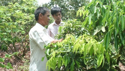 Vai thieu di My: Co hoi doi doi hinh anh