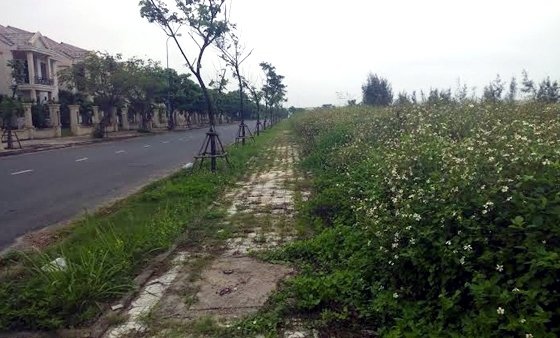 Khu biet thu ma ben song Han hinh anh