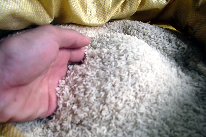 Gao Thai Binh, Nam Dinh len ngoi o Ha Noi hinh anh