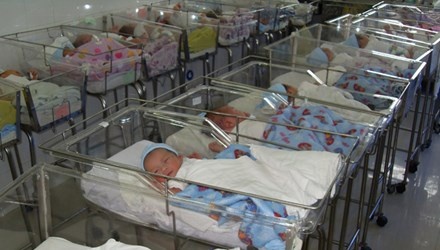 Mang thai ho: Ai cap phep? hinh anh