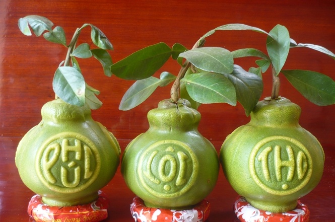 Bộ bưởi hồ lô “Phúc - Lộc - Thọ” do bàn tay tài hoa của ông Ba Thành biến tấu ra.