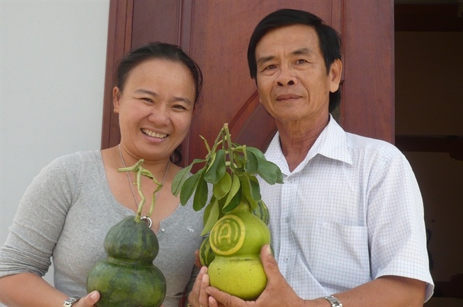 Phu thuy tao hinh trai cay hinh anh