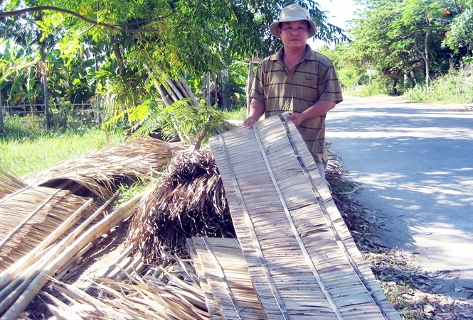 Anh Lê Công Thắng phơi lá dừa.