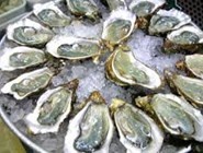 Mot so hai san ngon de gay ngo doc hinh anh