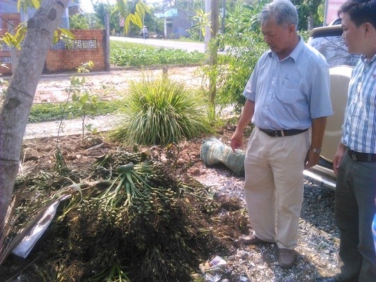 O at thu gom cau non ban sang Trung Quoc hinh anh