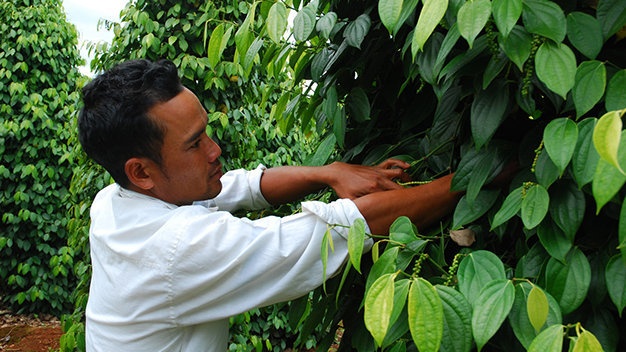 Thi truong tieu se 'sup' neu dan tiep tuc trong o at hinh anh