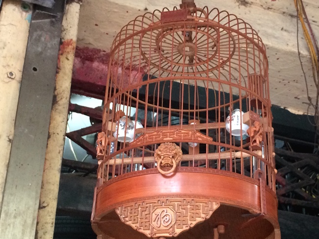 Bên cạnh đó, anh Tú còn sở hữu bộ sưu tập lồng chim có giá tiền tỷ, với những chiếc lồng gần 200 triệu đồng.