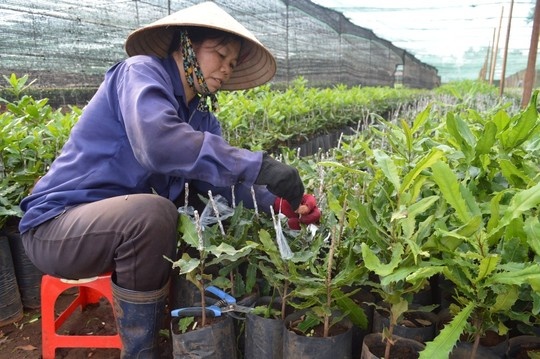 Dua trong mac ca, co ngay mac... no hinh anh