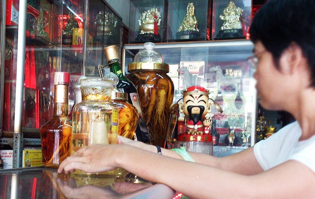 Thi truong nhan sam: Vang thau lan lon hinh anh