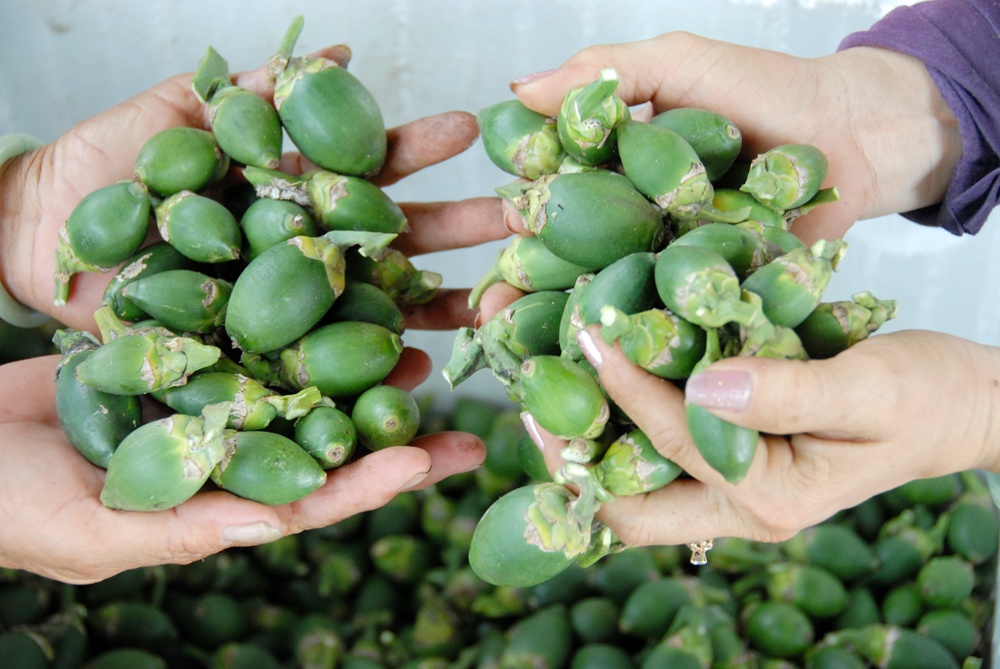 Ai mua cau non o mien Tay? hinh anh