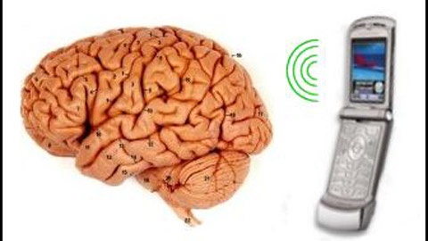 Nguyen nhan hang dau gay ung thu nao can ke ban hinh anh