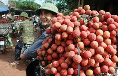 Bam Trung Quoc, nong san bi re rung hinh anh