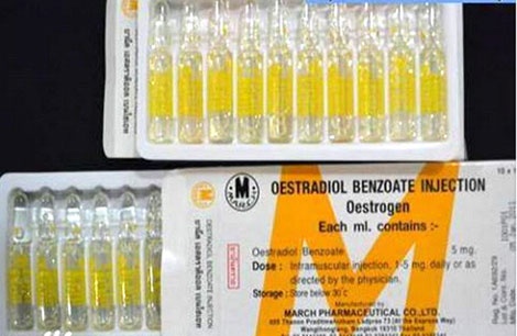 Loại thuốc nội tiết mà những người chuyển giới từ nam sang nữ phải tiêm suốt đờ.