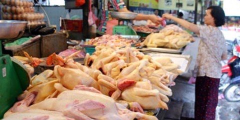 Chi can 6 tieng, thit ga Thai se tran ngap cho Viet! hinh anh