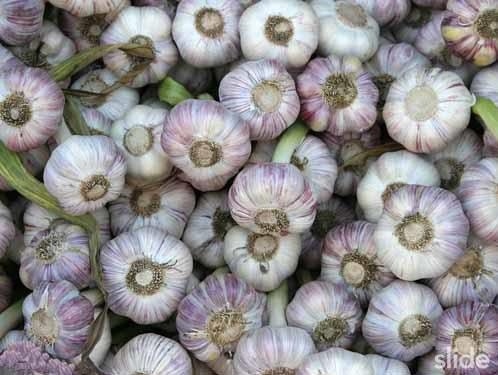 Viet Nam doi toi, ot lay oto Han Quoc hinh anh