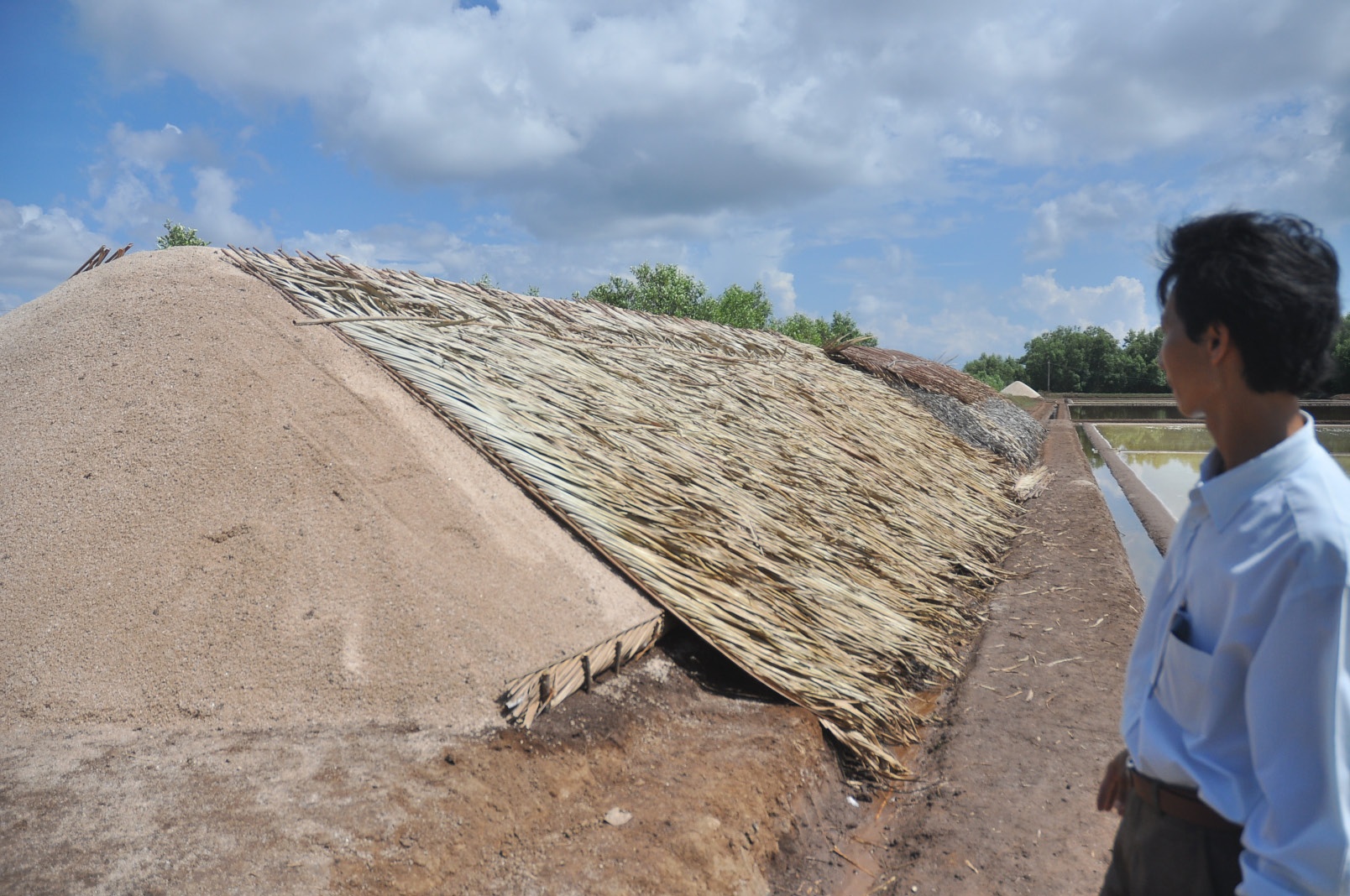 Diem dan Bac Lieu: 3 nam khong ban noi hat muoi hinh anh