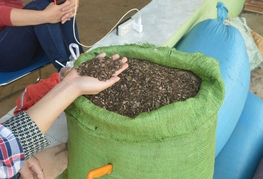 Xuat hien thuong lai TQ lam roi loan thi truong ho tieu hinh anh