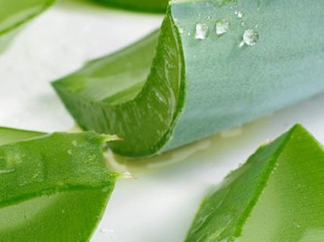 Nhung dieu can lam khi bi chay nang hinh anh