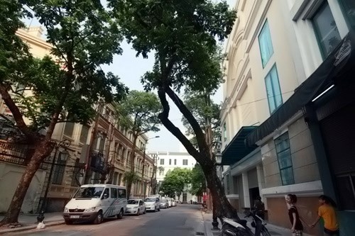 Dat vang canh Ho Guom rao gia beo, nha dau tu van 'che' hinh anh